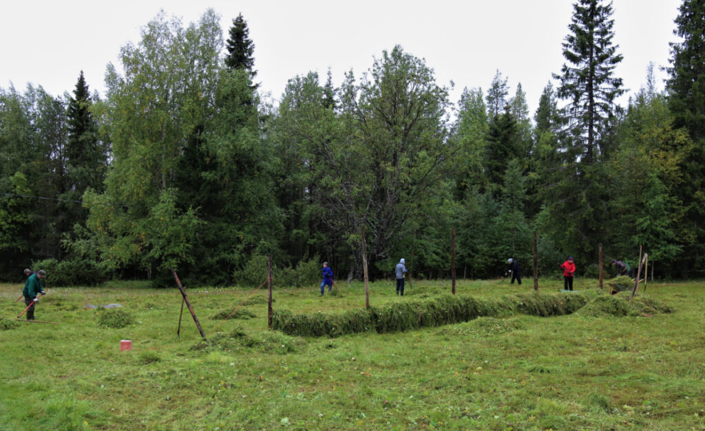 Särestön niittotalkoot 26.8.2017.