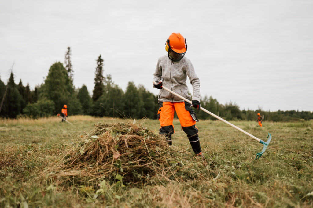 Kuusisaaren niittotalkoot 2018.