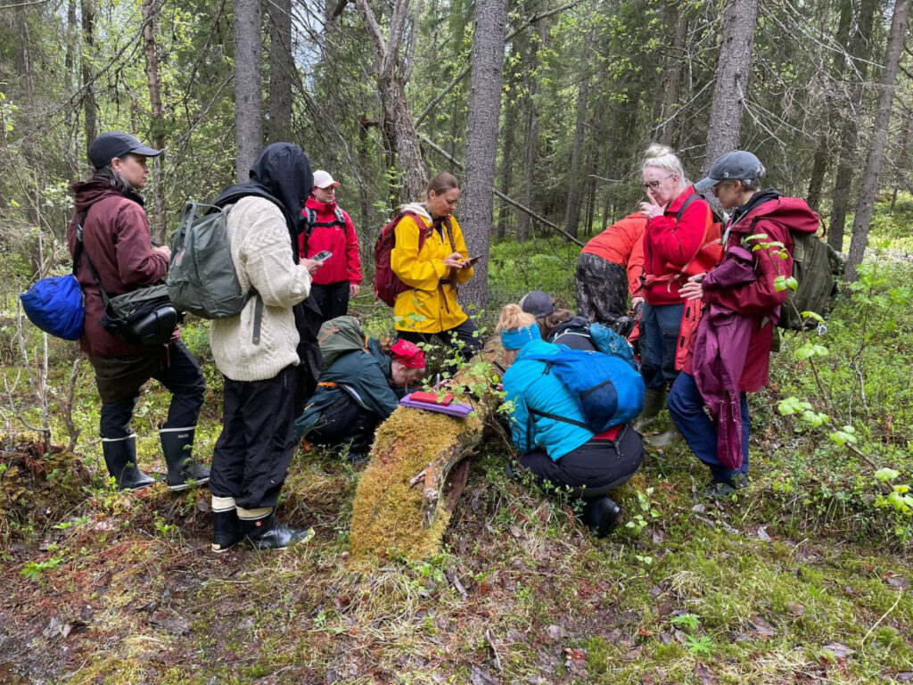 Metsäkartoituskurssi Pellossa.