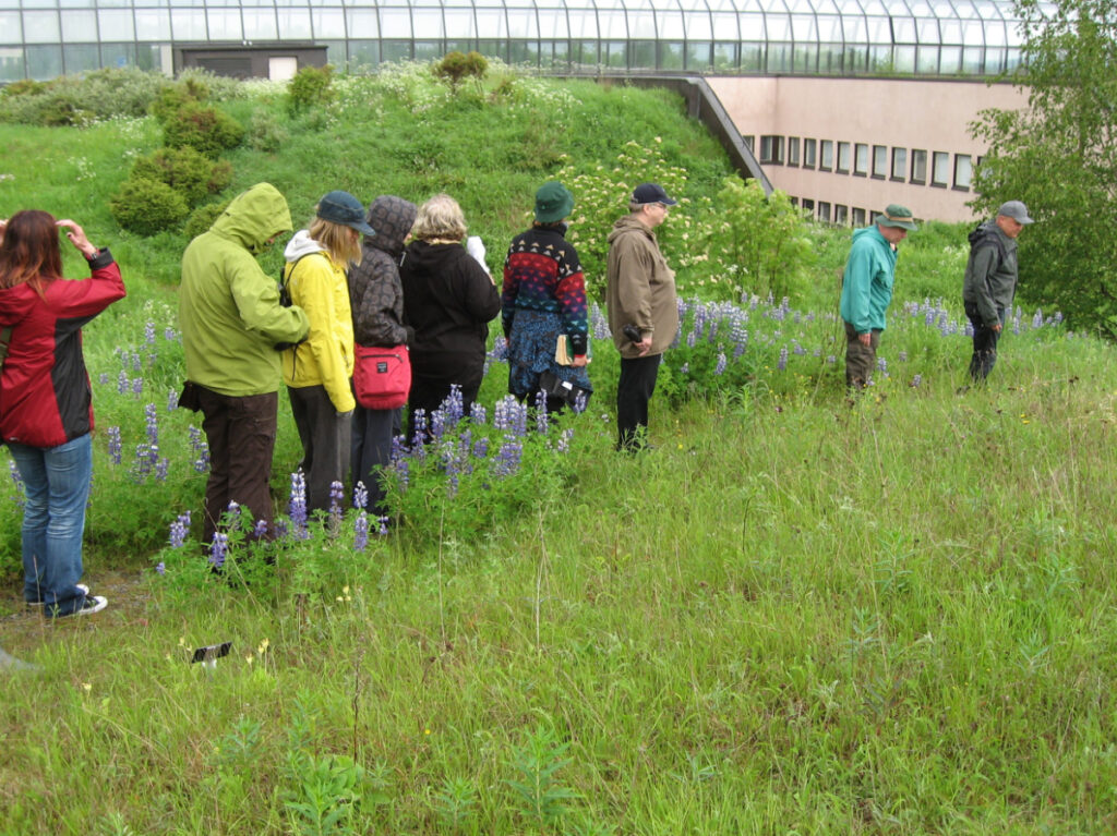 Luonnonkukkapäivän retki 2010 Rovaniemellä.