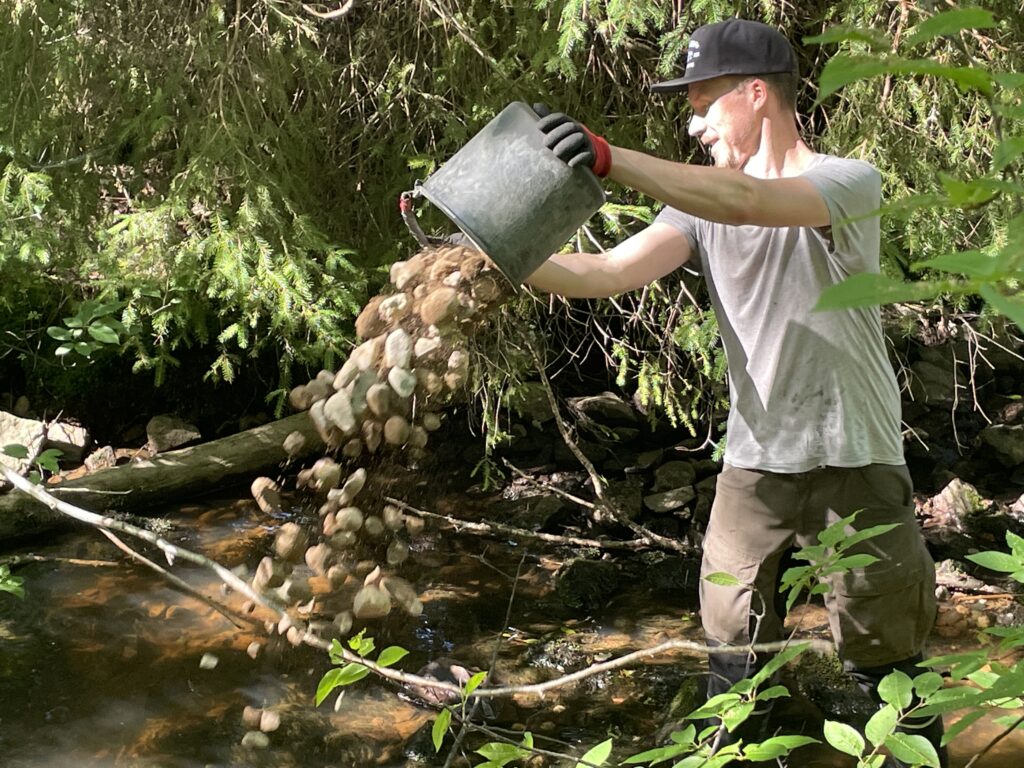 Talkoolainen kaataa ämpäristä soraa puroon.