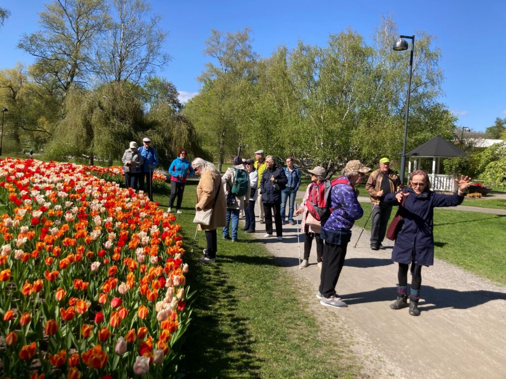 Ihmisiä Hatanpään arboretumissa aurinkoisessa kevätsäässä