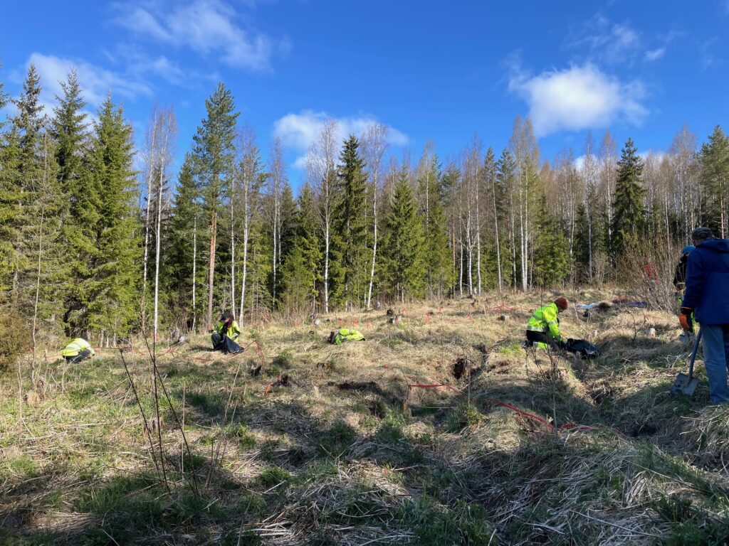 Ihmisiä niittytalkoissa aurinkoisessa säässä
