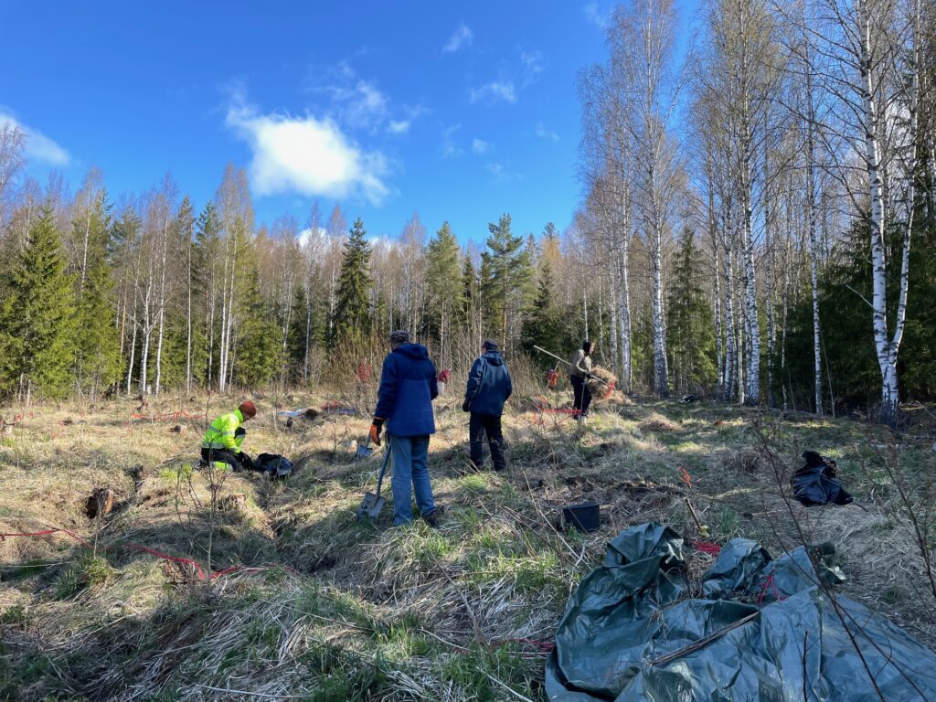 Ihmisiä niittytalkoissa aurinkoisessa säässä