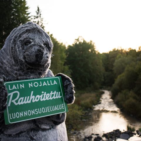 Kuvassa Luonnonsuojeluliiton norppamaskotti, josta on tullut vuosikymmenten saatossa suomalaisen luonnonsuojelun symboli. Kuvaaja: Emmi Holopainen / Luonnonsuojeluliitto