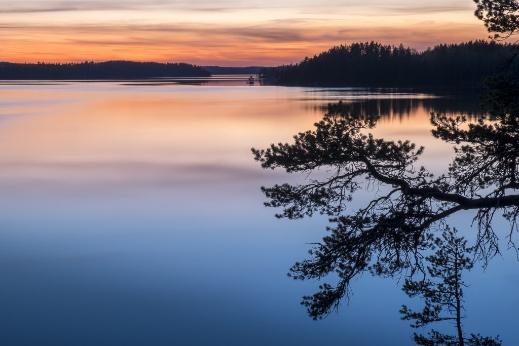 Suomen luonnonsuojeluliitto järjesti syksyllä 2018 yläkoulujen oppilaille (13-15-vuotiaat) luontoaiheisen kirjoituskilpailun. Kirjoitelmien aiheena oli oppilaan oma luontosuhde.