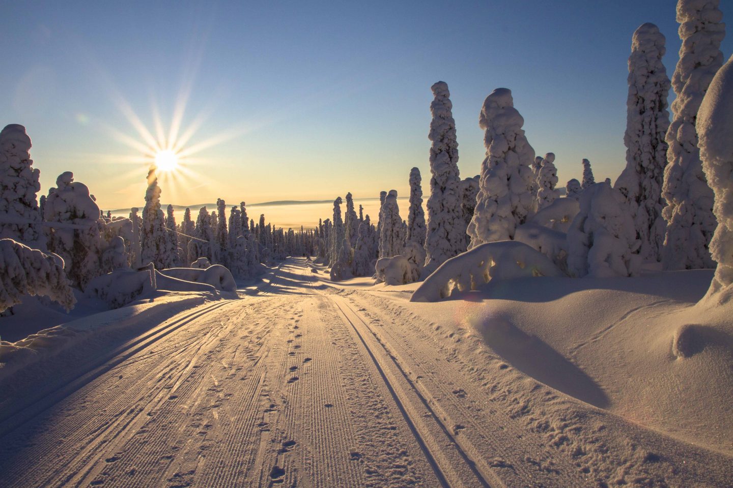 Maisemakuva, jossa hiihtolatu kulkee lumisessa metsässä. Puut ovat paksun tykkylumen peittämiä ja aurinko paistaa pilvettömältä taivaalta.