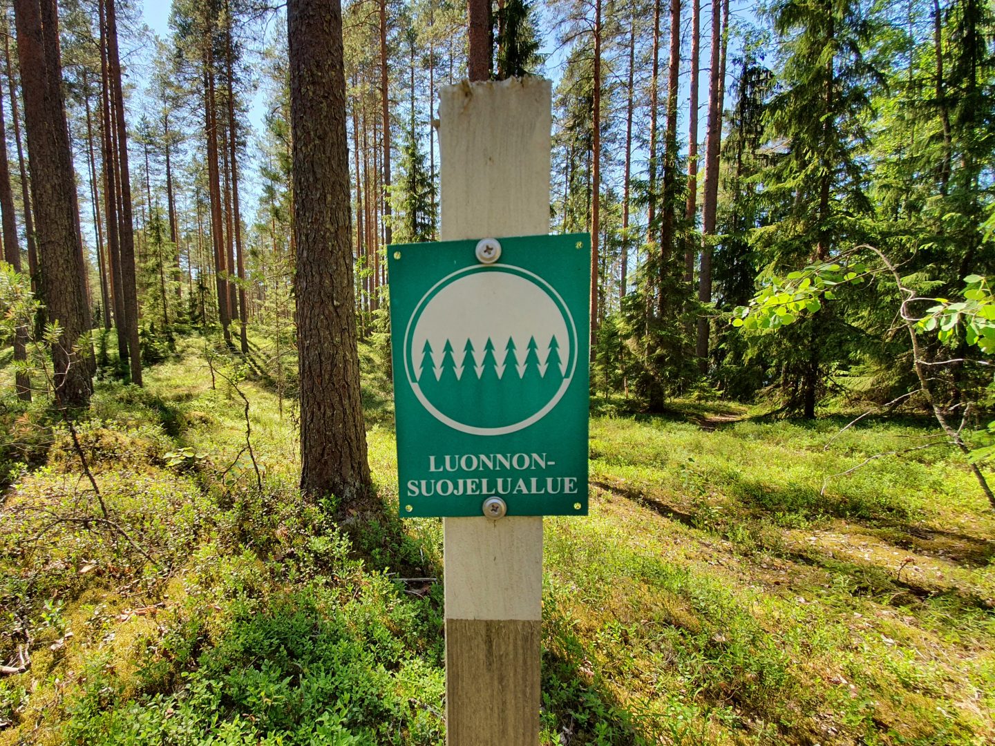 Kuvassa näkyy vihreä pylvääseen kiinnitetty merkki, jossa lukee 