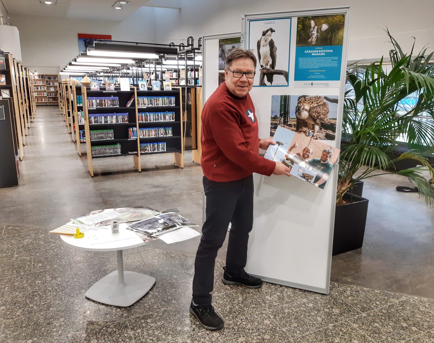 Jorma Yrjölä pystyttää sääksinäyttelyä Tikkurilan kirjastossa. Kuva: Petri Hirva