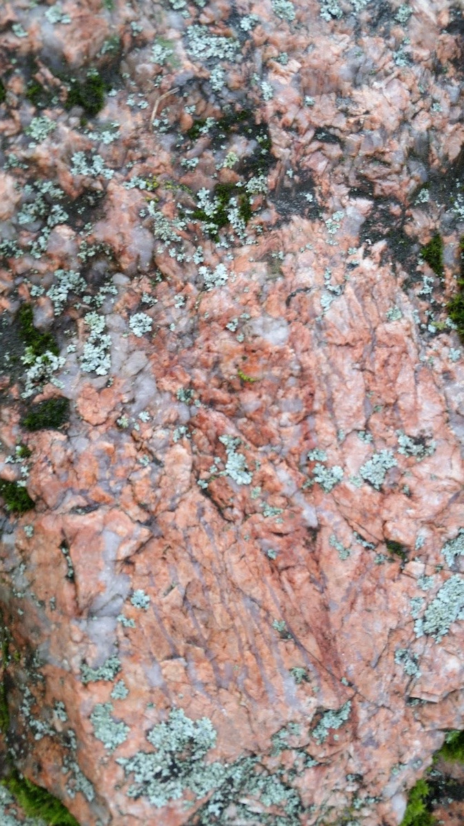 Lähikuva graniittisesta pegmatiitista, jossa on kirjomaasälpämäisiä piirteitä.  Punertavan kiven pinnalla kasvaa harmaata jäkälää. 