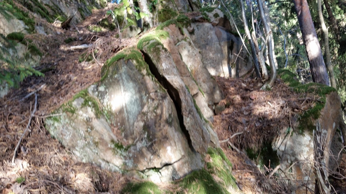 Porrasmaisesti lohkeilleessa kalliossa näkyy leveä pystysuuntainen rako, josta voi irrota uusi lohkare rapautumisen seurauksena. Kallion tasot ovat paksun neulaskarikkeen peitossa. 