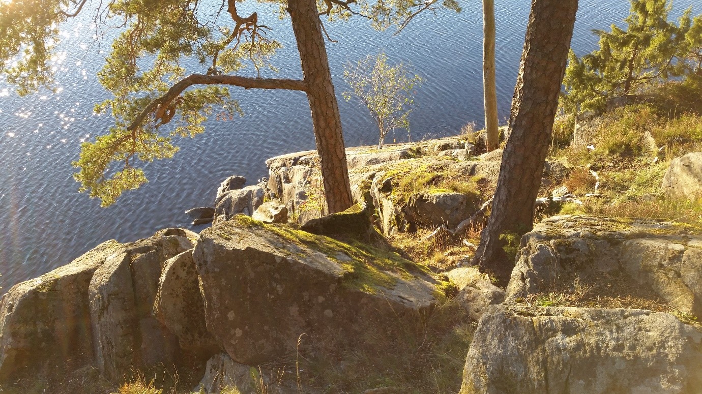 Yläviistosta otettu kuva jylhästä kalliosta järven rannalla. Kalliolla kasvaa muutamama mänty. Aurinko kimmeltää veden pinnalla.
