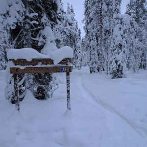 Luminen talvimaisema, etualalla näkyy polku ja puinen opaskyltti.