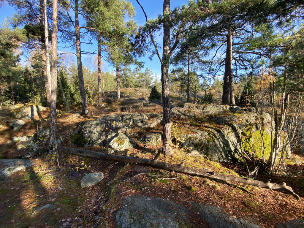 Maisemakuva kallioisesta ja metsäisestä Pohjavedenpuistosta.