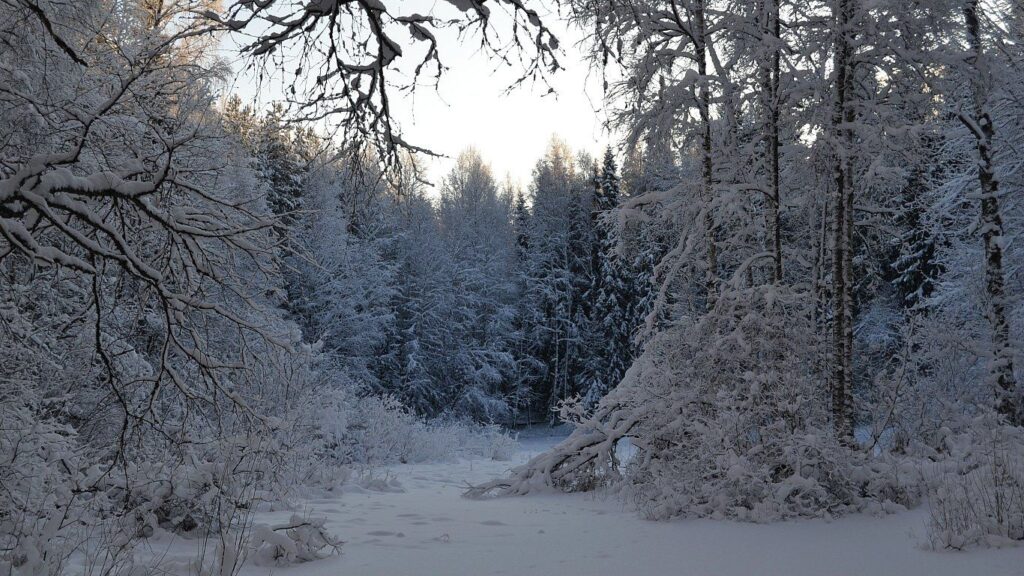 Evon Hautjärvi talvella