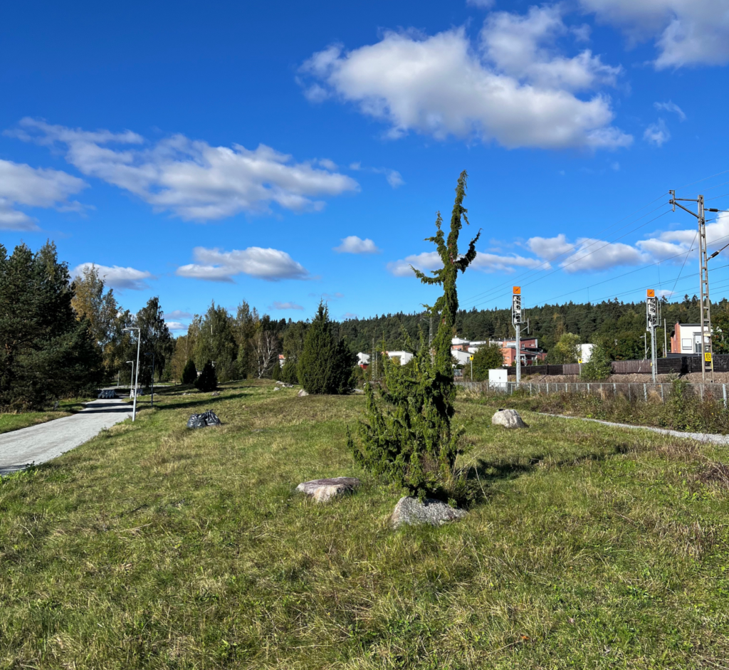 Kuvassa H&auml;meenlinnan Sairionranta.