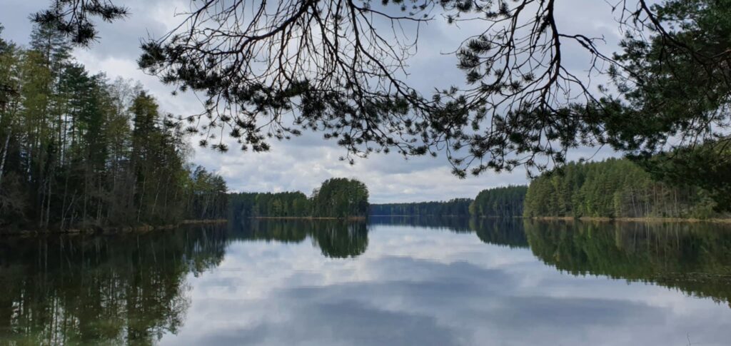 Järvimaisema, pilvet heijastuvat järveen. Kuvassa näkyy puustoinen niemennokka ja metsää järven ympärillä.
