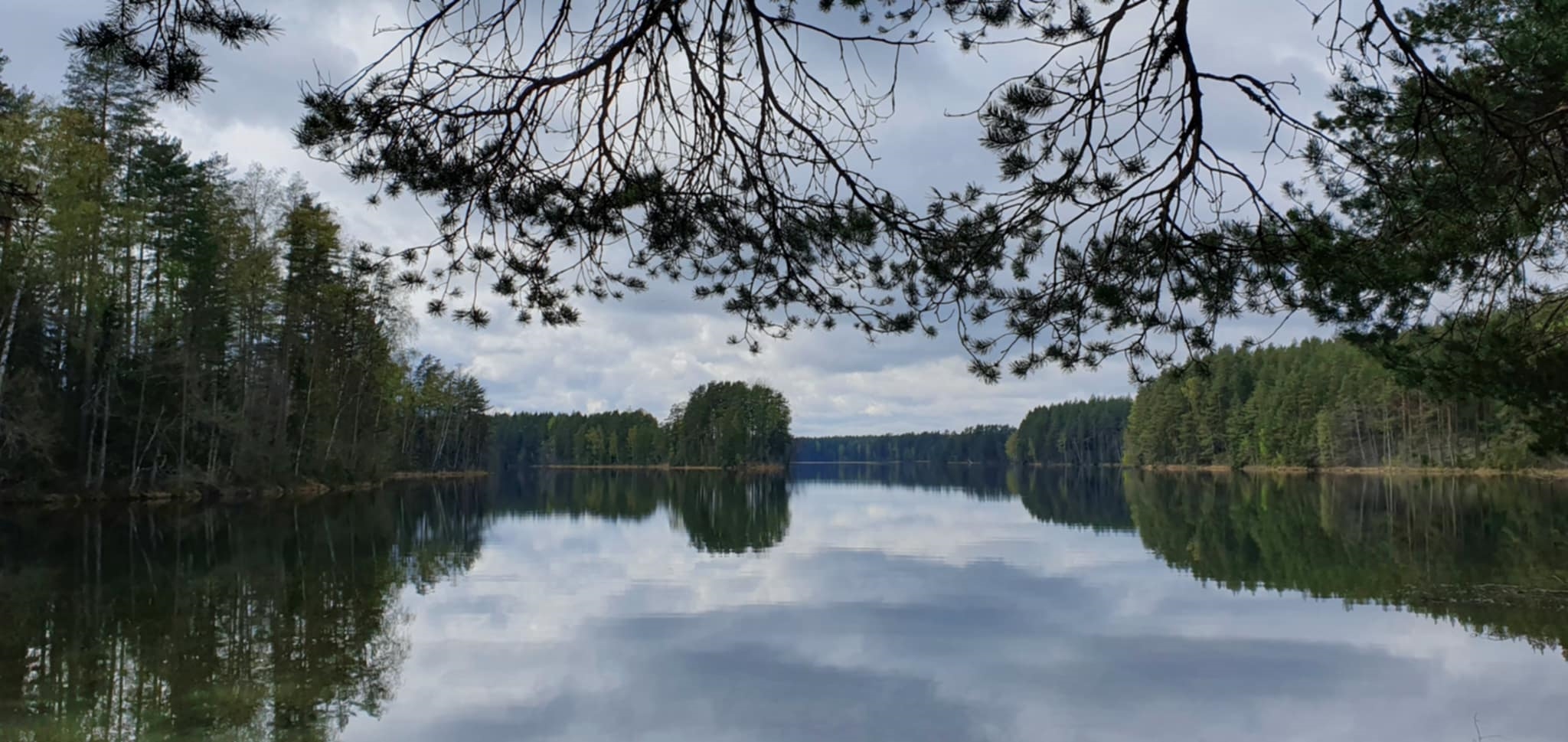 Järvimaisema, pilvet heijastuvat järveen. Kuvassa näkyy puustoinen niemennokka ja metsää järven ympärillä.