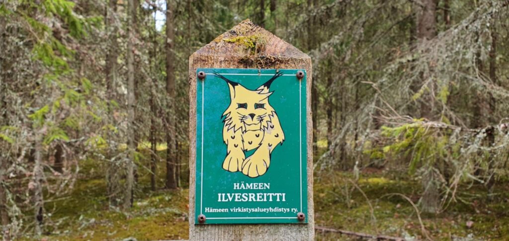 Ilvereitti on merkitty keltaisilla ilveskuvilla. Taustalla metsää.