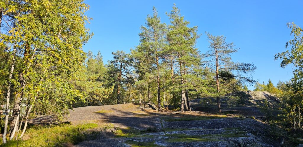 Riistavuorenpuisto Haagassa by Aki Eerikäinen