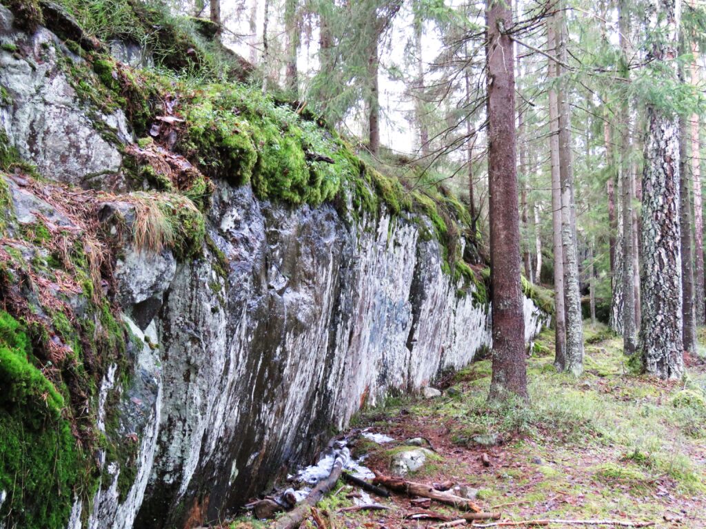Kaartuva kallioojyrkänne Vuosaaren Mustavuoressa