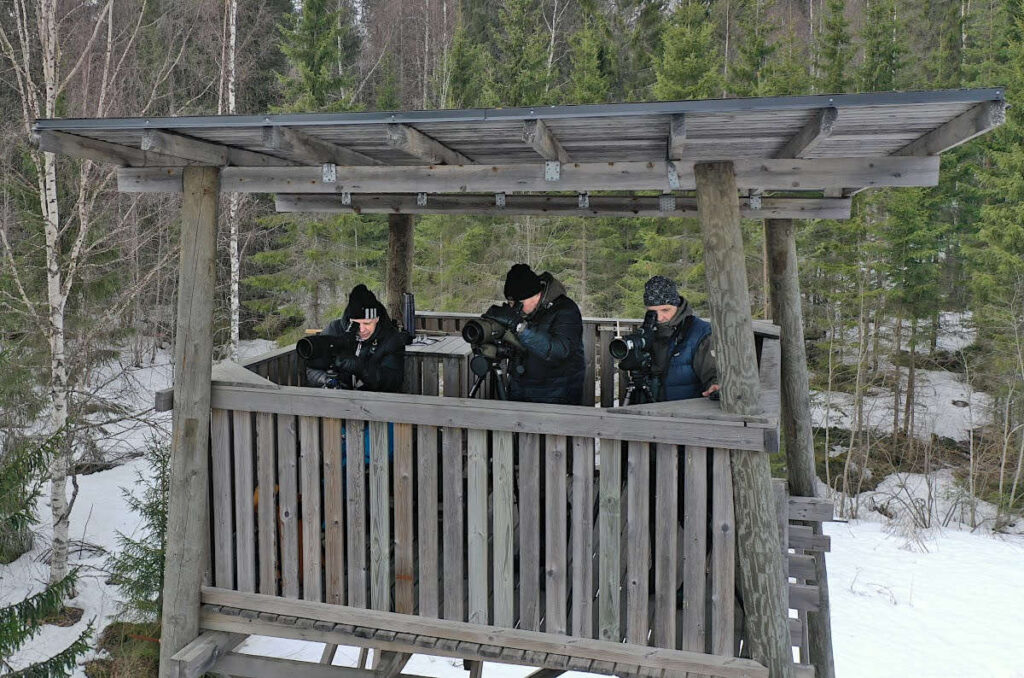 Tornien taisto käynnissä