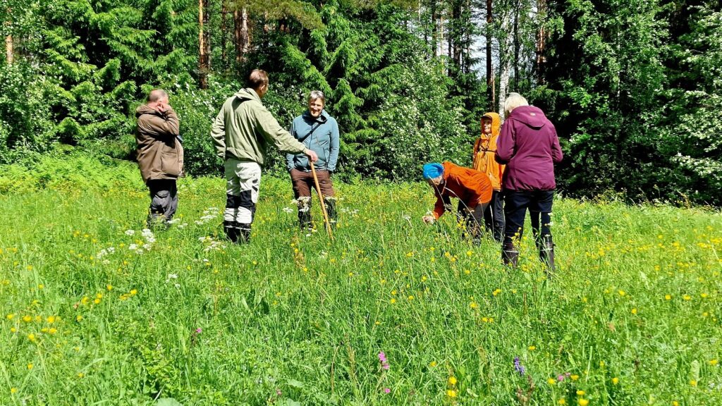 Kuusi henkilöä juttelee niityllä, taustalla metsää.