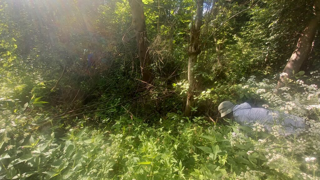 j&auml;ttipalsamien kitkent&auml;&auml; Gammelbackan mets&auml;