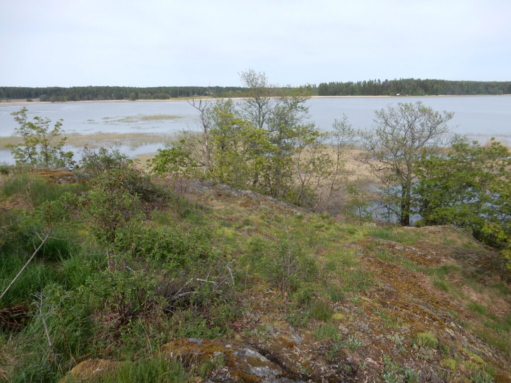 Husholmen Porvoo