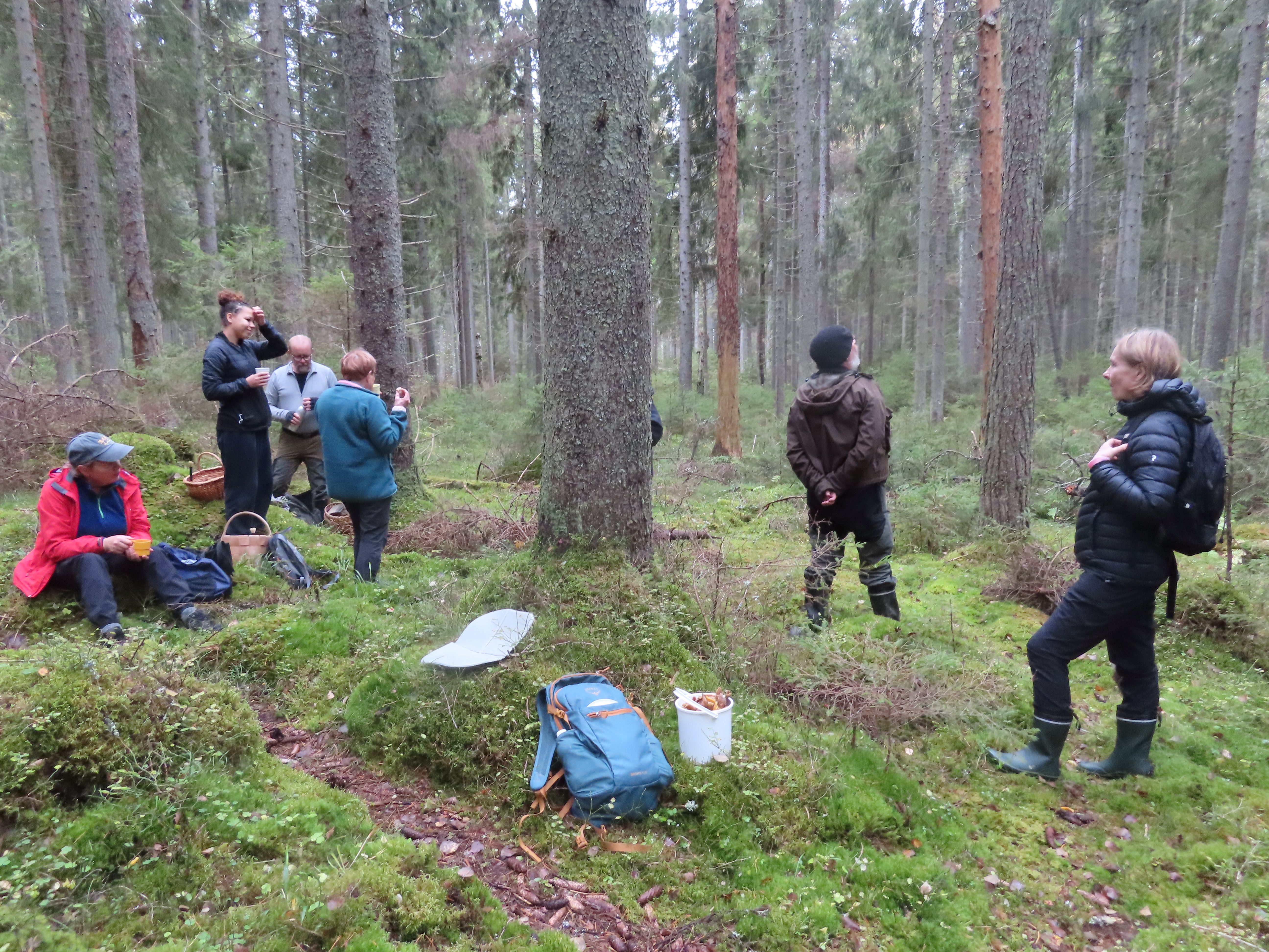 Sieniretkellä Påvalskärretissä KP