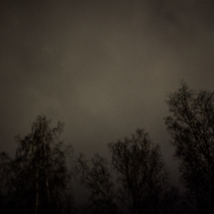 TÄHTIEN JA PÖLLÖJEN BONGAUSILTA