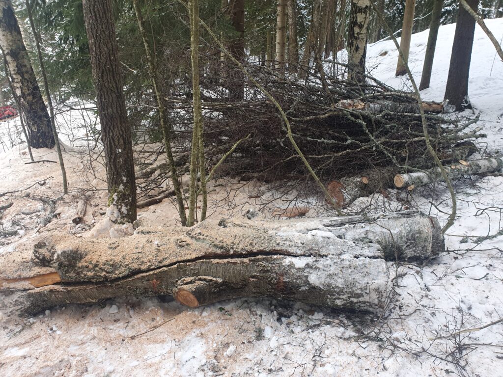 Kaakkolanmetsän hakkuut helmikuussa 2026