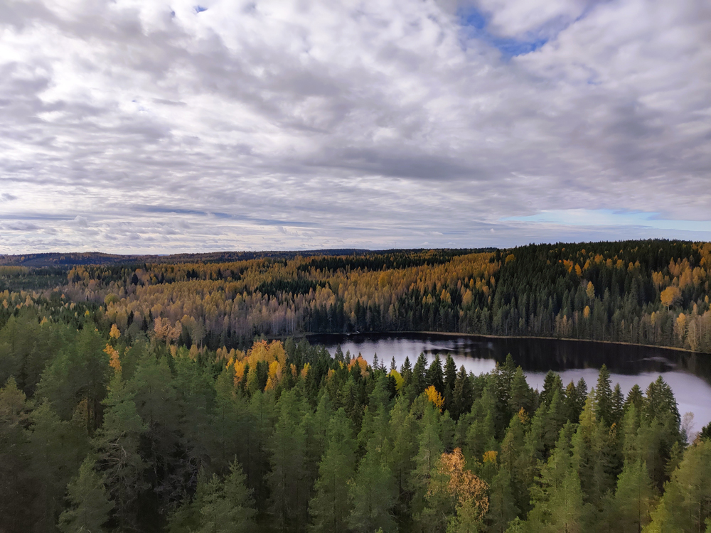 Maisemakuva jossa metsää ja järvi