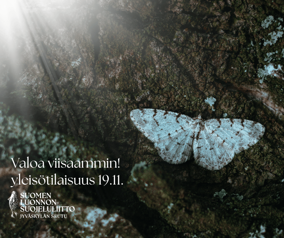 Valoa viisaammin