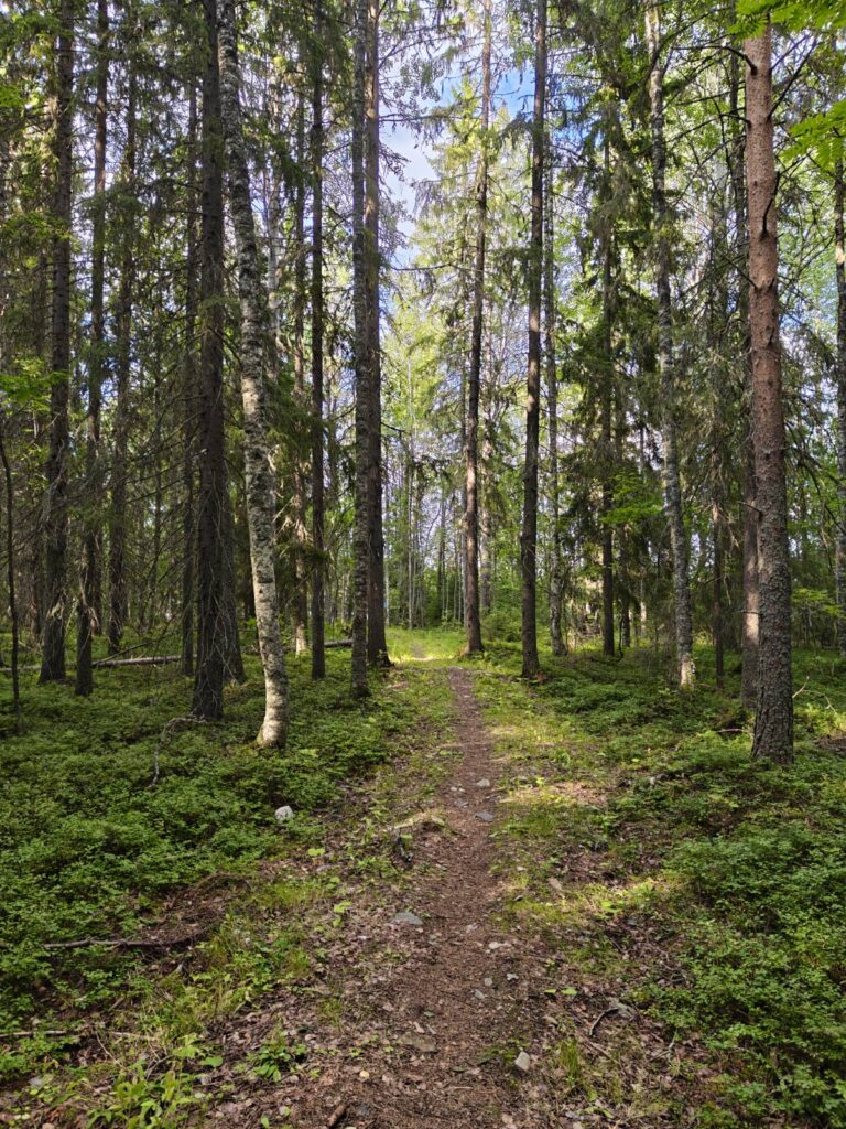 Autioniemen luontopolku