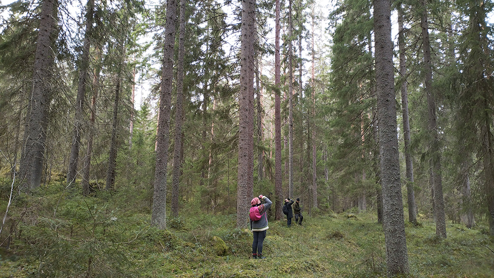 Kuorovuori 4.4.2026