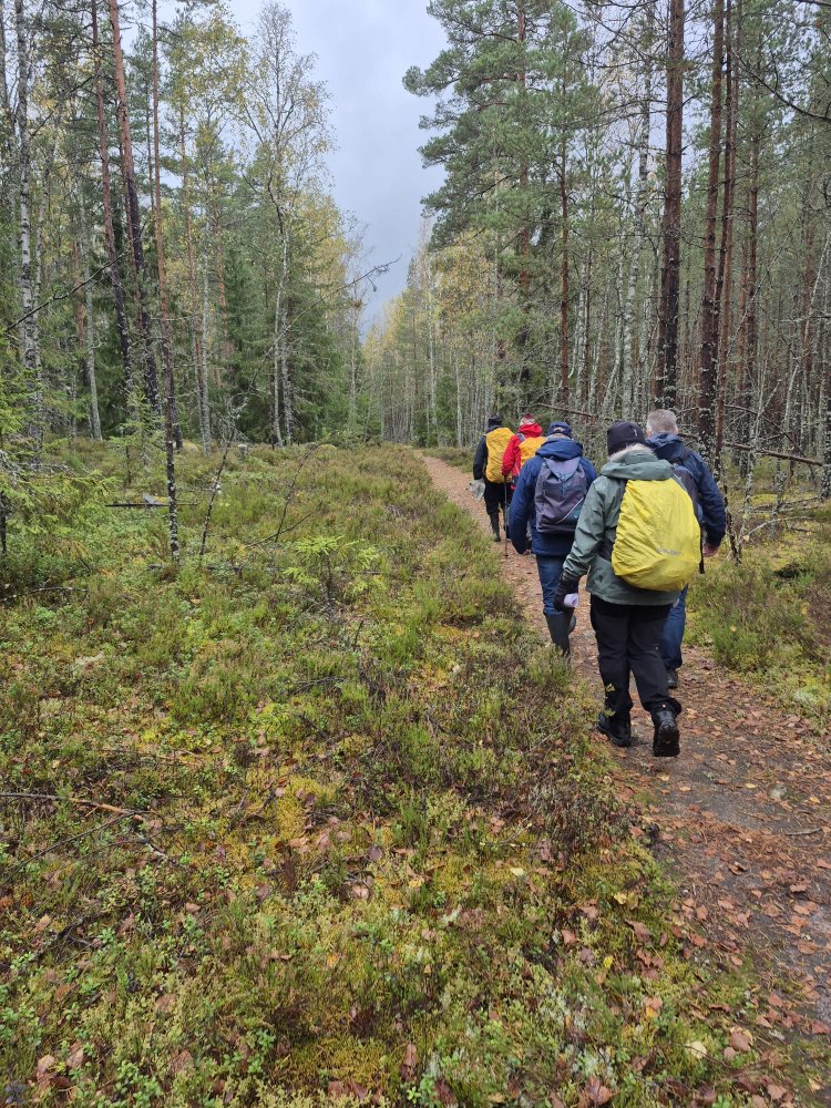 M&auml;nniskor som g&aring;r p&aring; rad l&auml;ng med en stig.