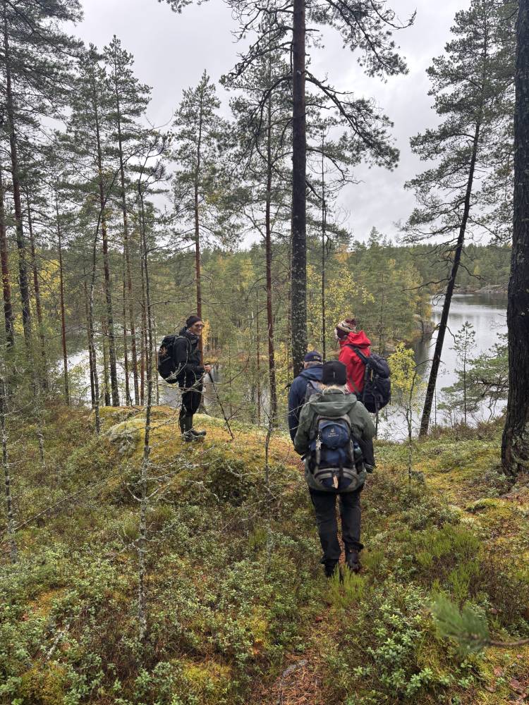 Vy från en klippsats ut över en sjö.