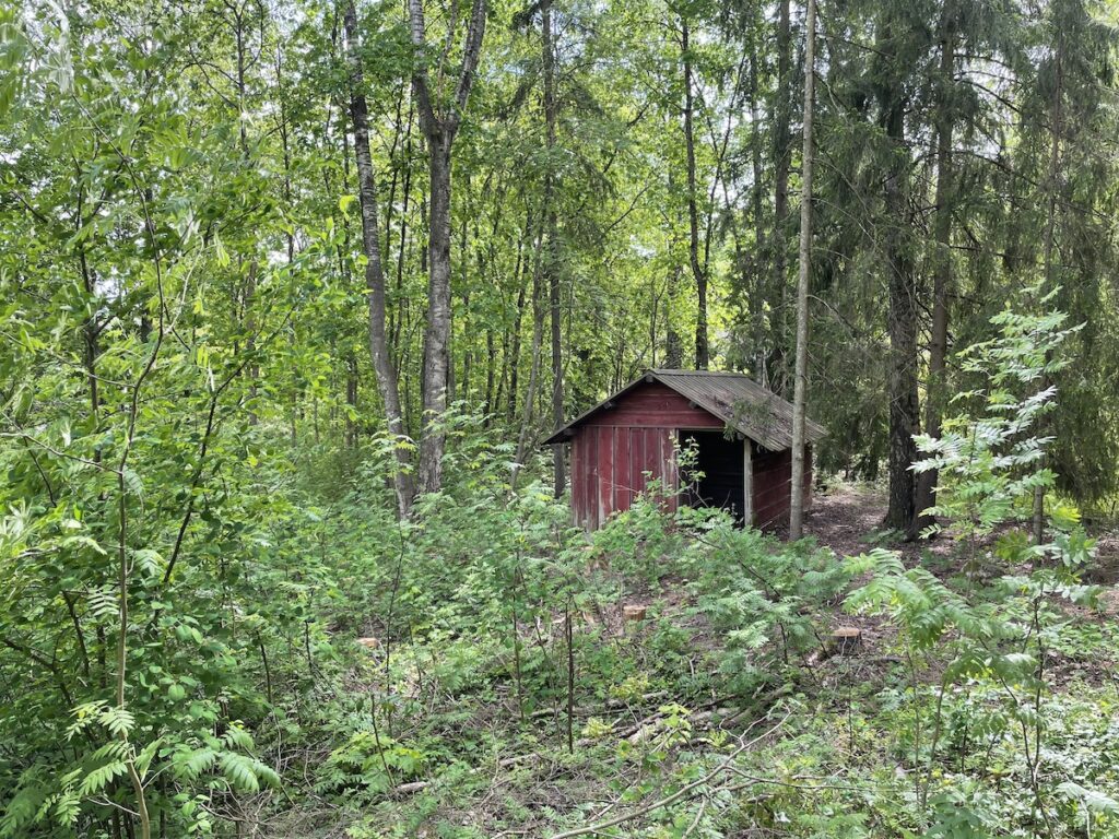 Heikkilänmäki. Kuvaaja Pekka Hällström.