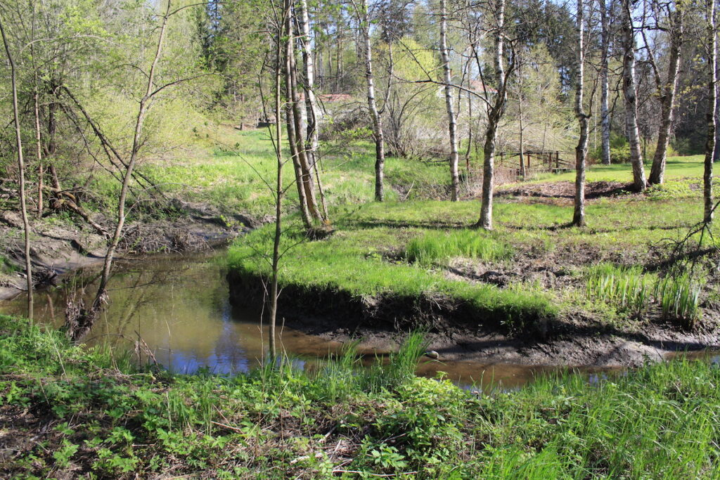 Savionojan purolaakso. Puro mutkittelee keväisessä maisemassa. Kuvaaja Pekka Hellstöm