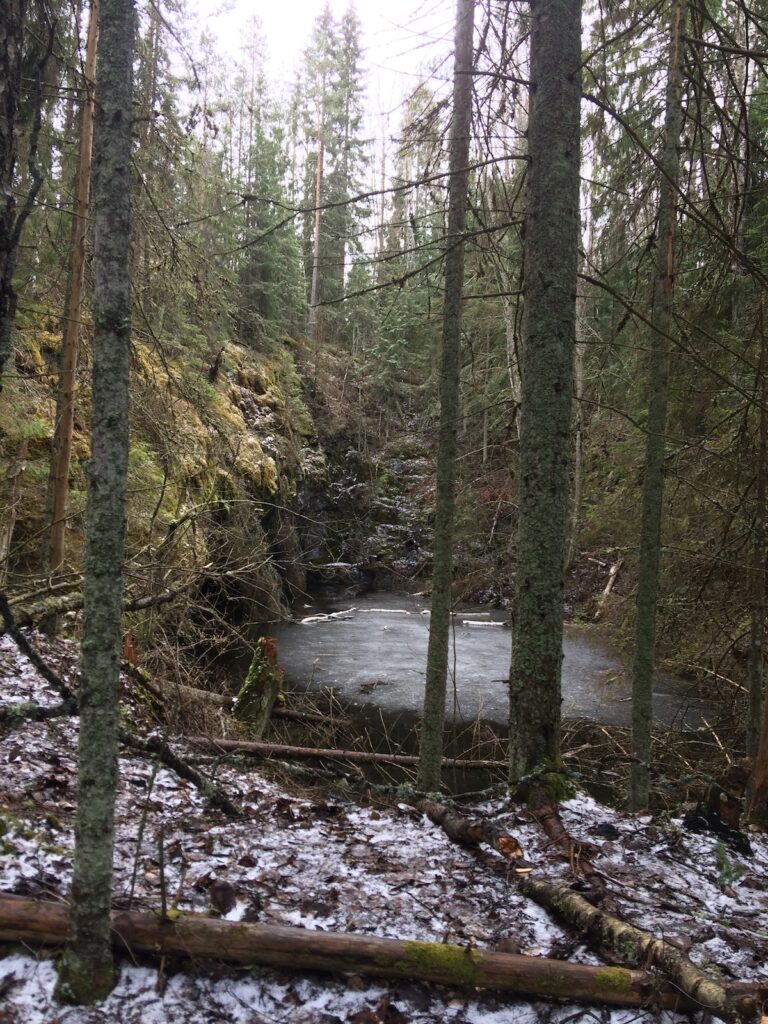 Louhosmonttu metsän keskellä täynnä vettä. Paikassa Kalkberg.