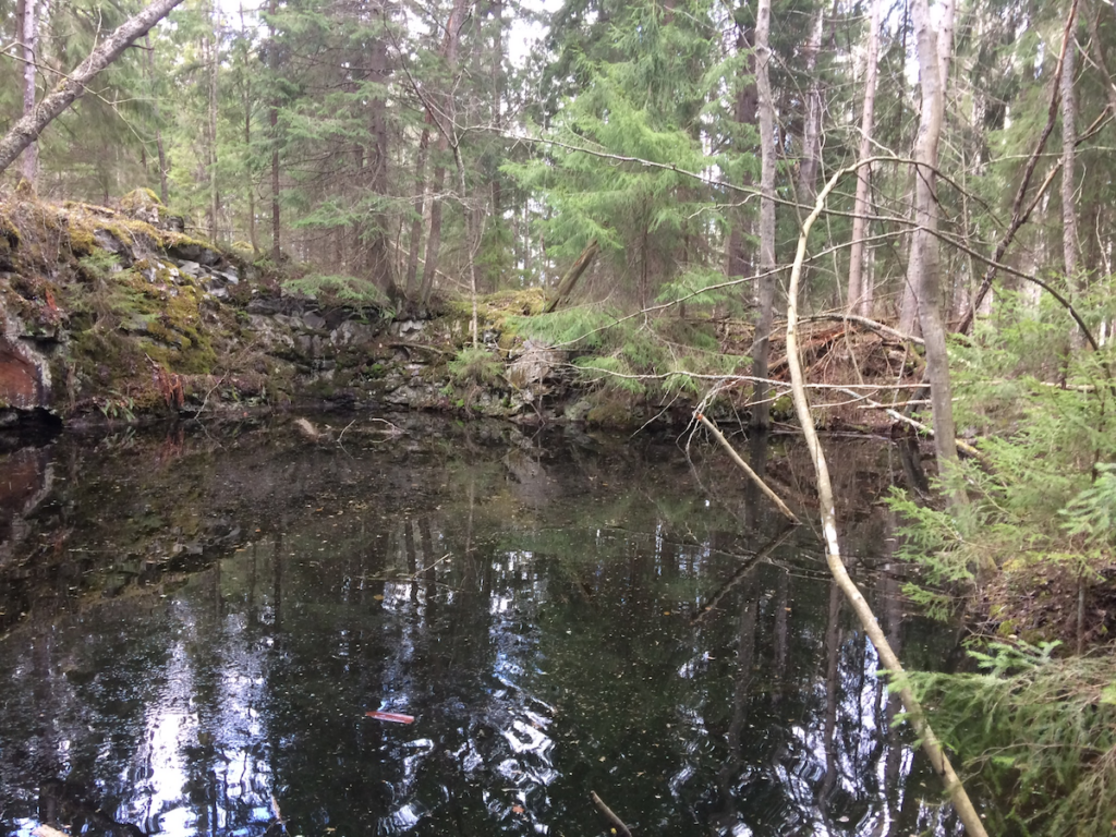 Louhosmonttu metsän keskellä täynnä vettä. Paikassa Kalkberg.