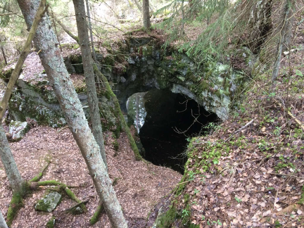 Louhosmonttu metsän keskellä täynnä vettä. Paikassa Kalkberg.