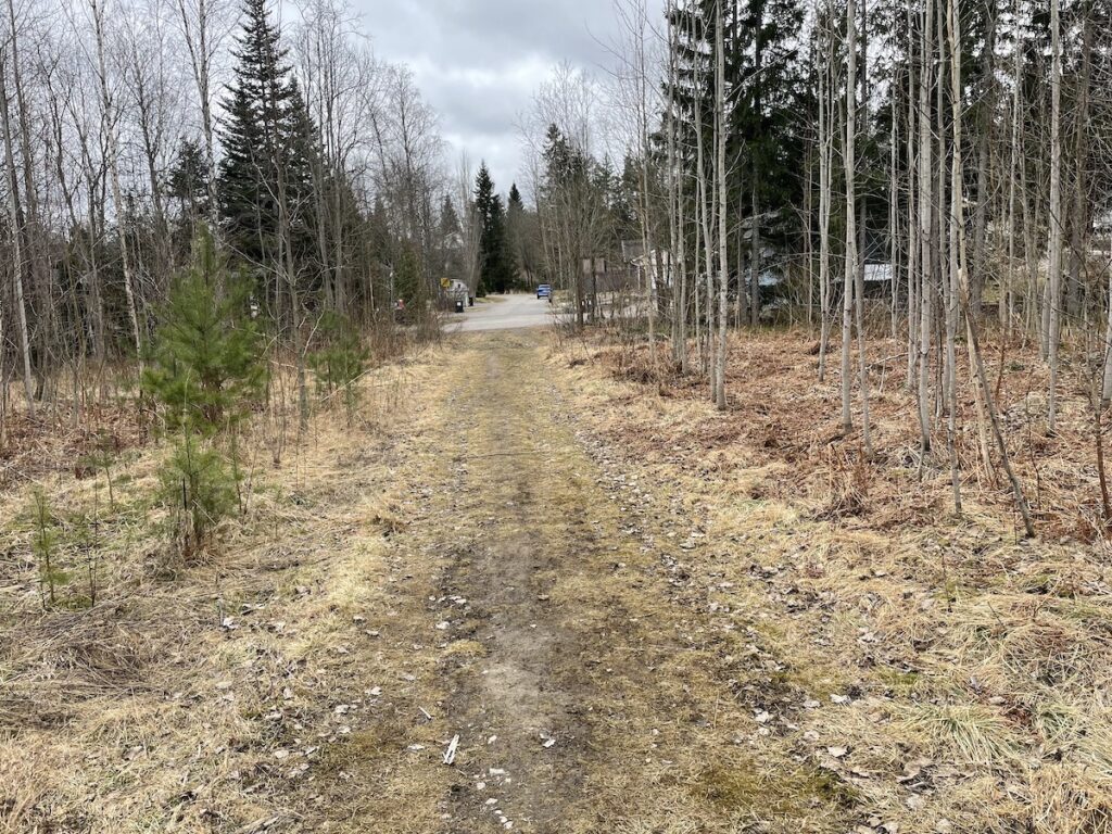 Metsätie, joka johtaa metsään omakotitaloalueelta.