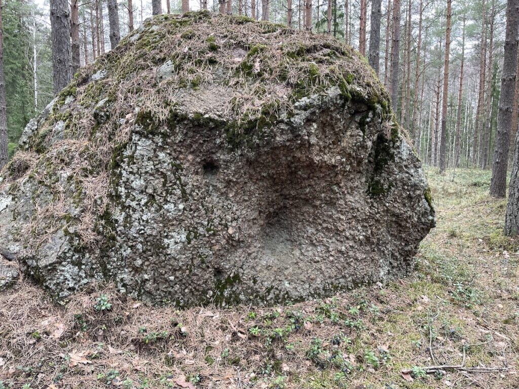 Kivi mets&auml;ss&auml;, jolla n&auml;ytt&auml;&auml; olevan kasvot.