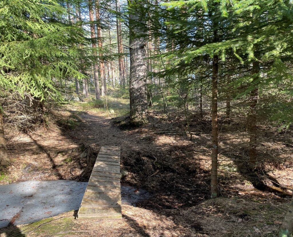 Ojan yli menevä silta metsässä.