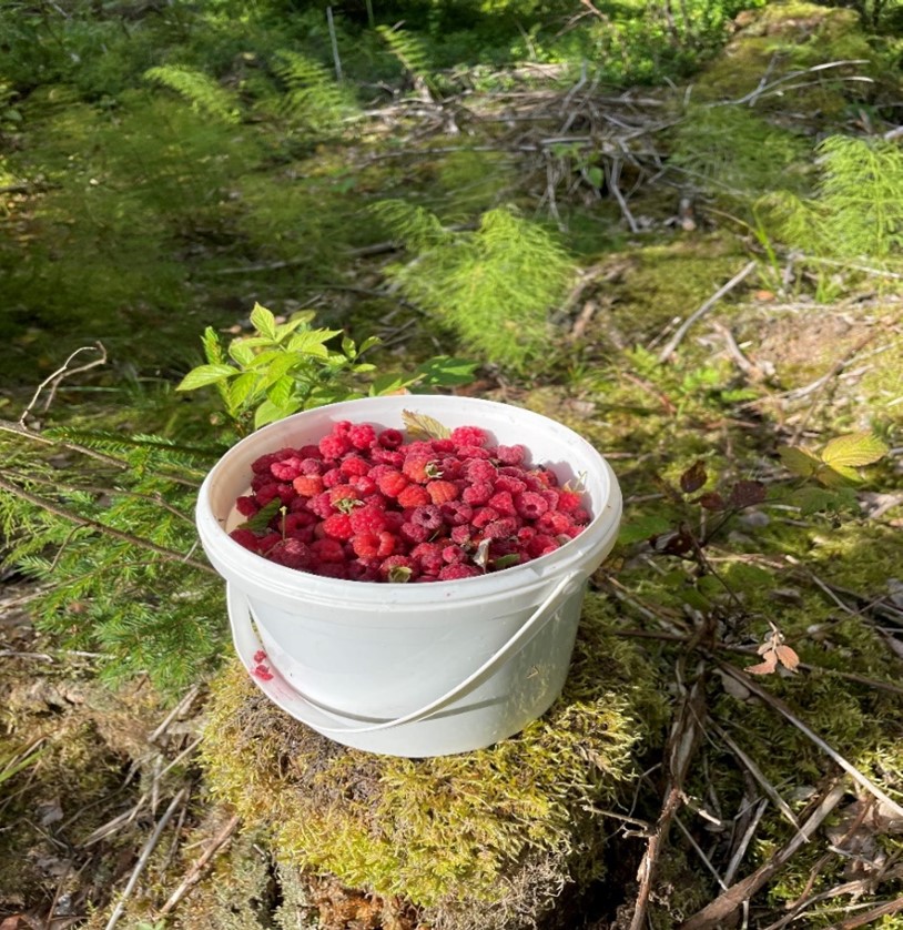 Valkoinen ämpäri täynnä vattuja.