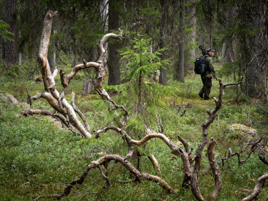 Joensuonkangas