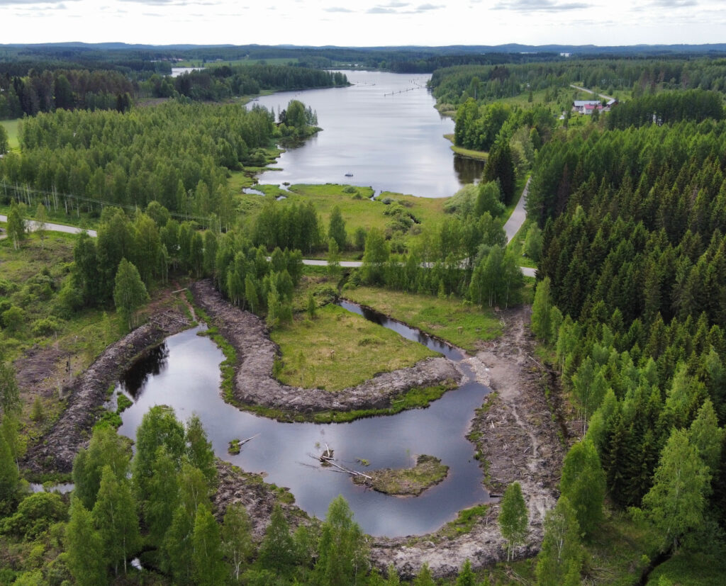 Akonpohjan kosteikko
