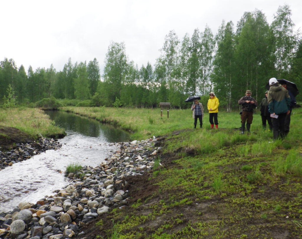 Koillis-Savon luonnonystävät tutustumassa Akonpohjan kosteikkoon